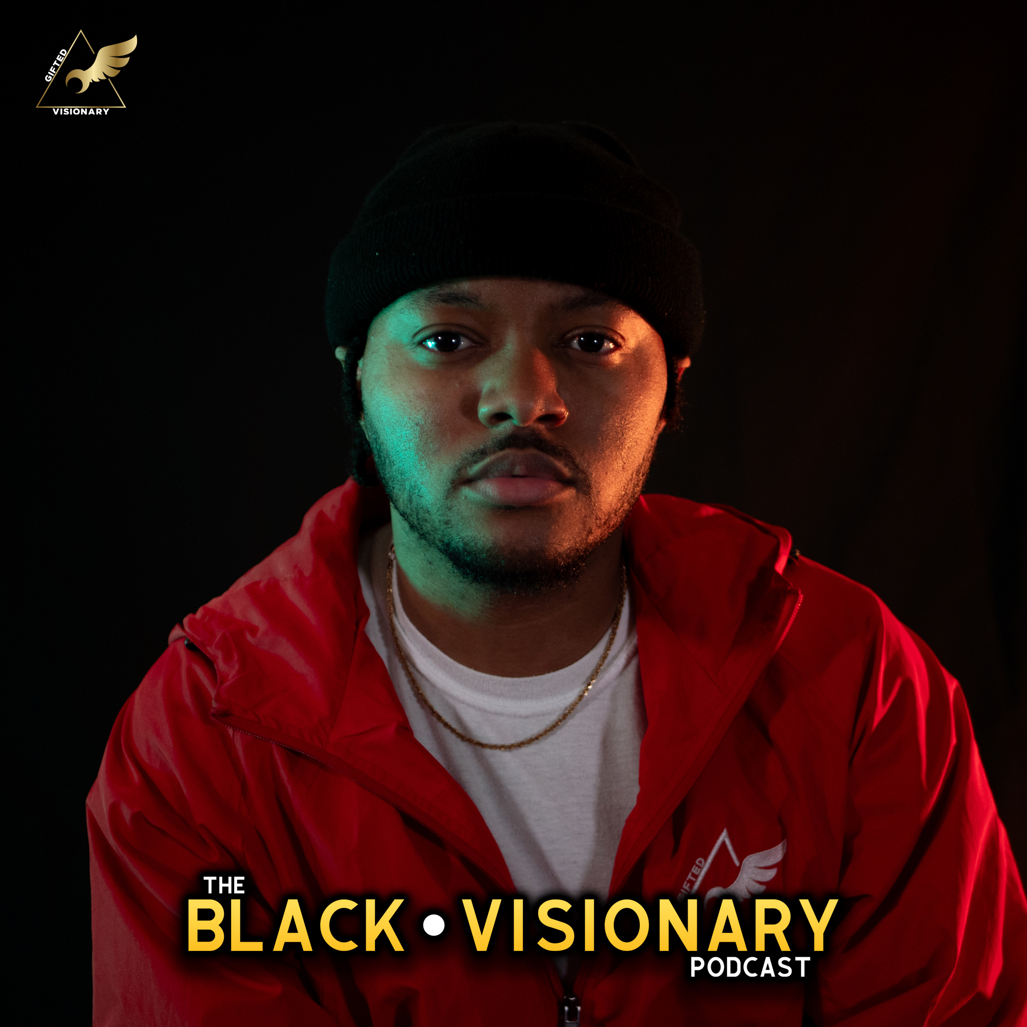 Show artwork for The Black • Visionary Podcast