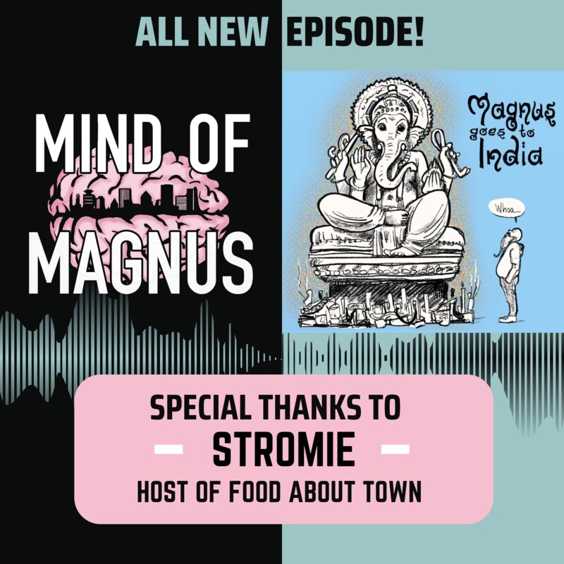 Artwork for podcast Mind Of Magnus