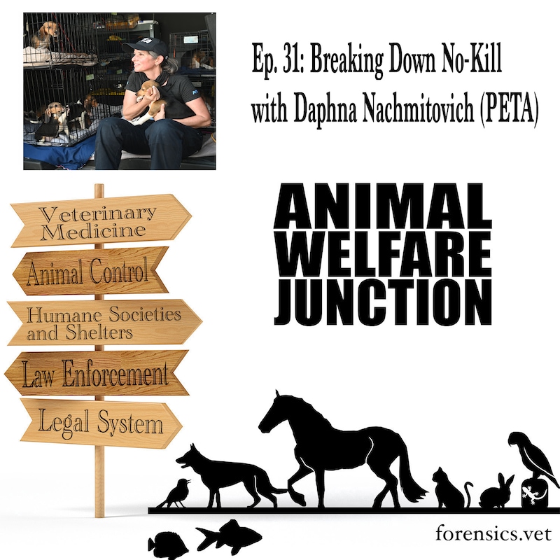 Artwork for podcast The Animal Welfare Junction