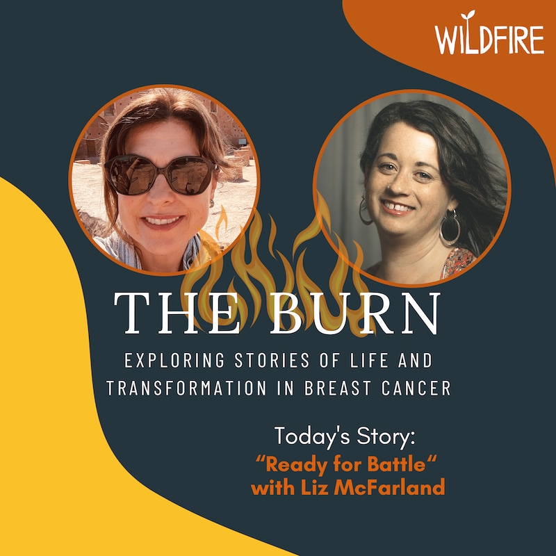 Artwork for podcast The Burn