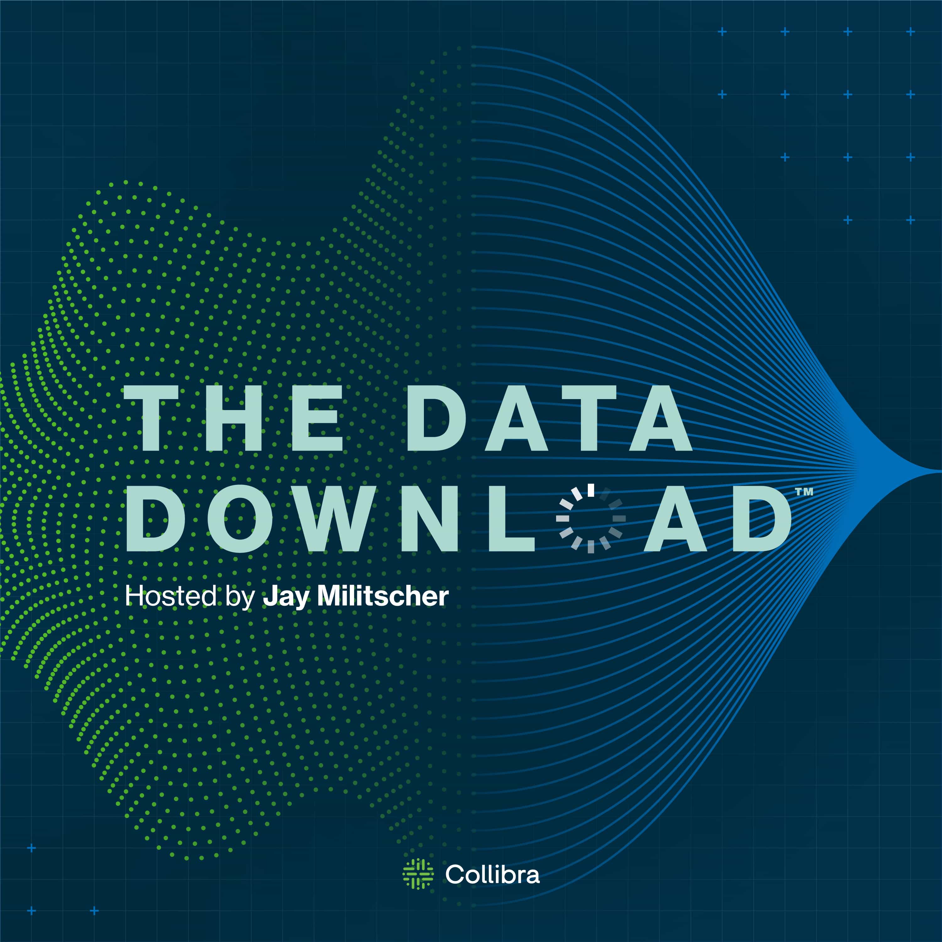 Artwork for podcast The Data Download