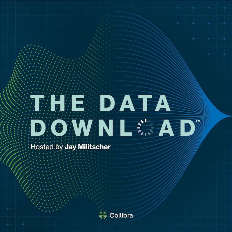 Artwork for podcast The Data Download