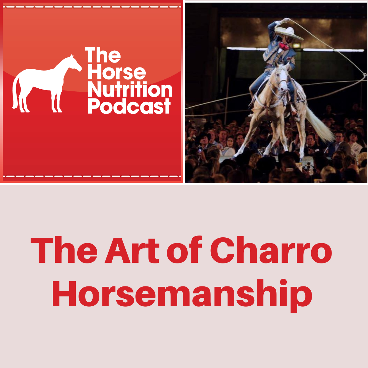 The Art of Charro Horsemanship