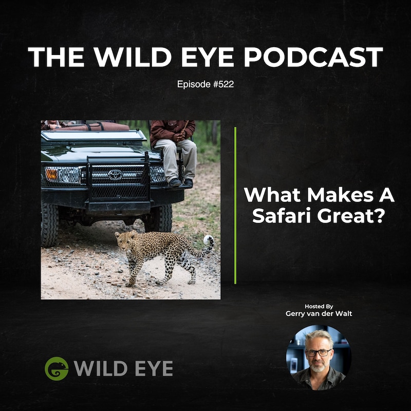 Artwork for podcast The Wild Eye Podcast
