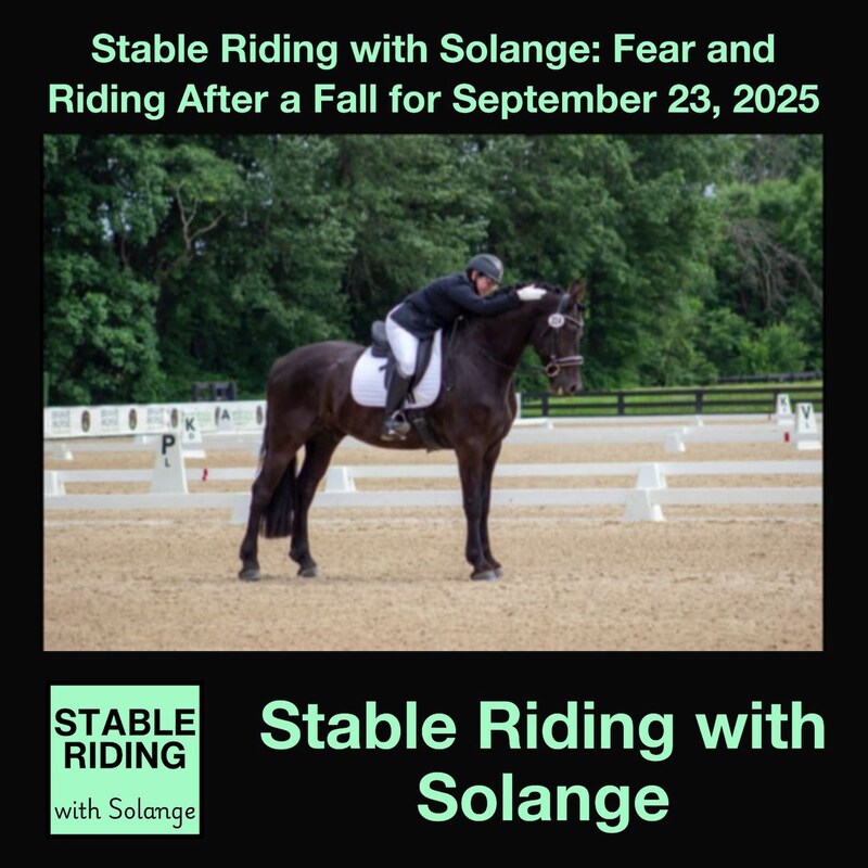 Artwork for podcast Horses in the Morning