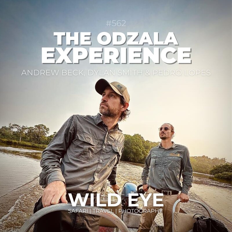 Artwork for podcast The Wild Eye Podcast