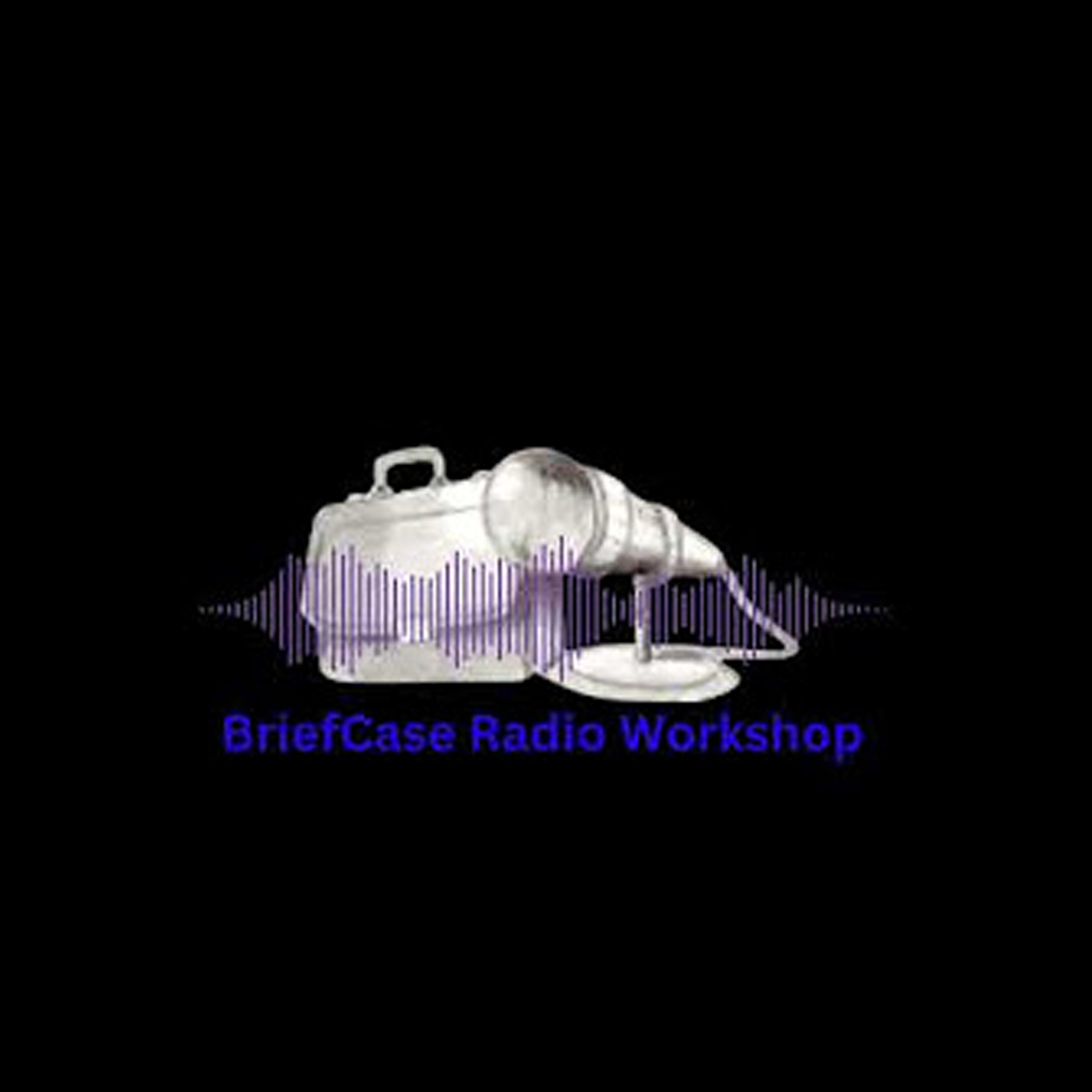 Briefcase Radio Workshop