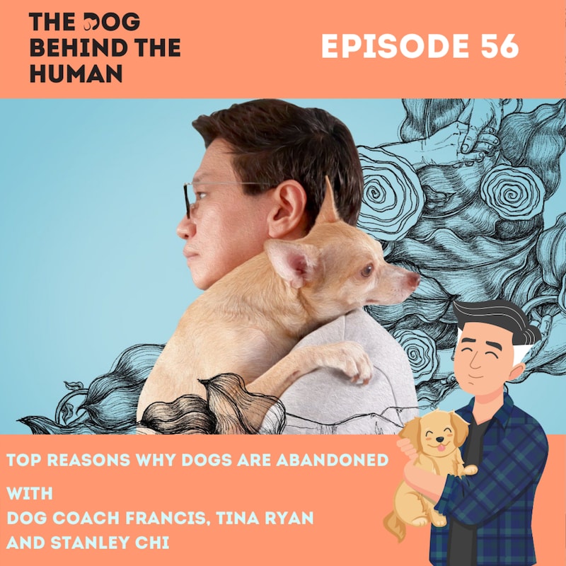 Artwork for podcast The Dog Behind The Human