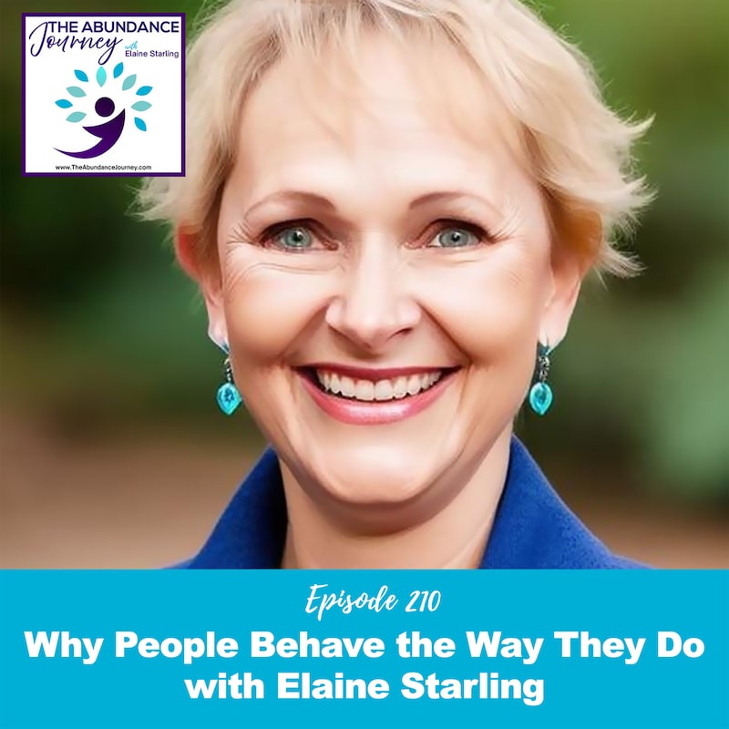Artwork for podcast The Abundance Journey: Accelerating Revenue With An Abundance Mindset