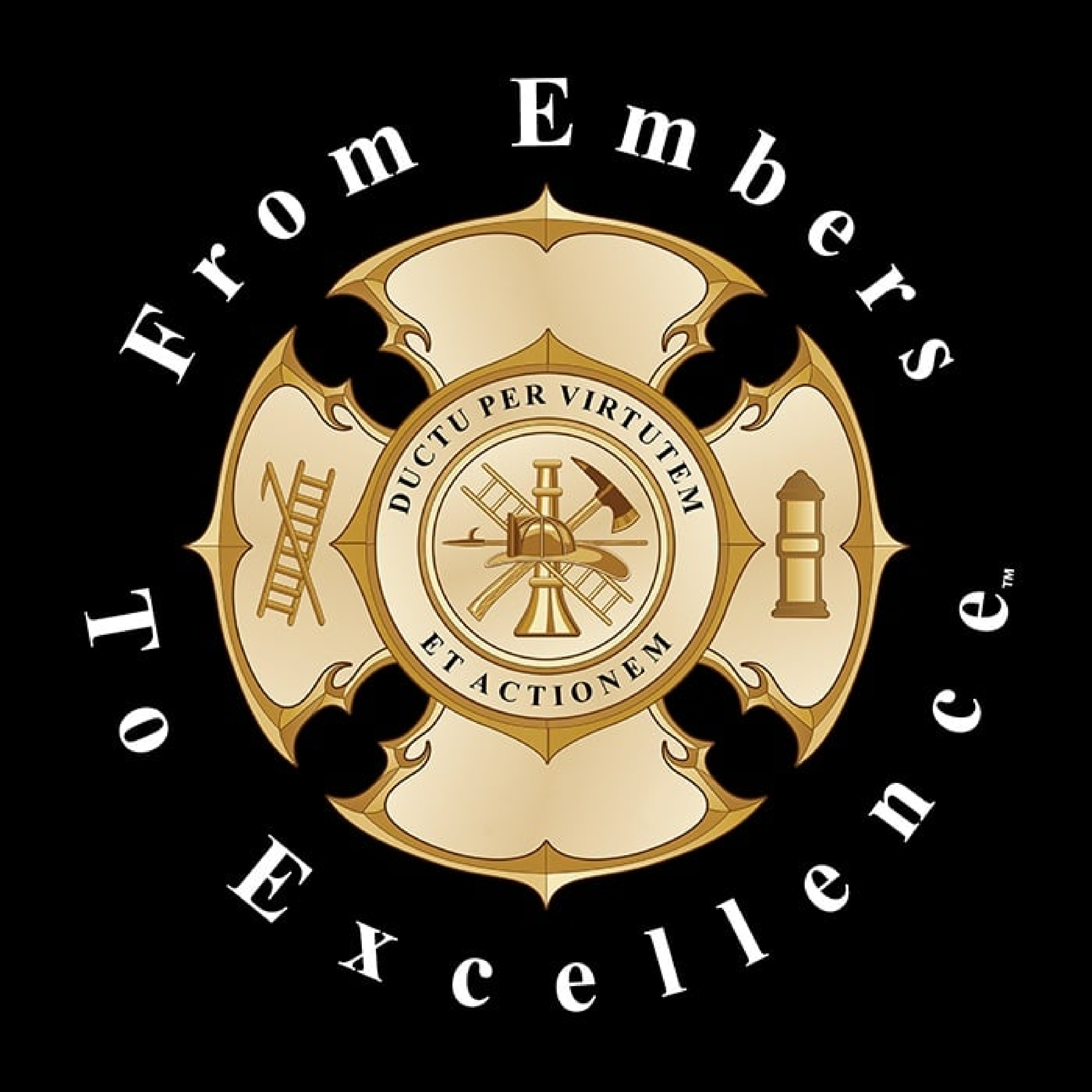 Artwork for podcast From Embers To Excellence™