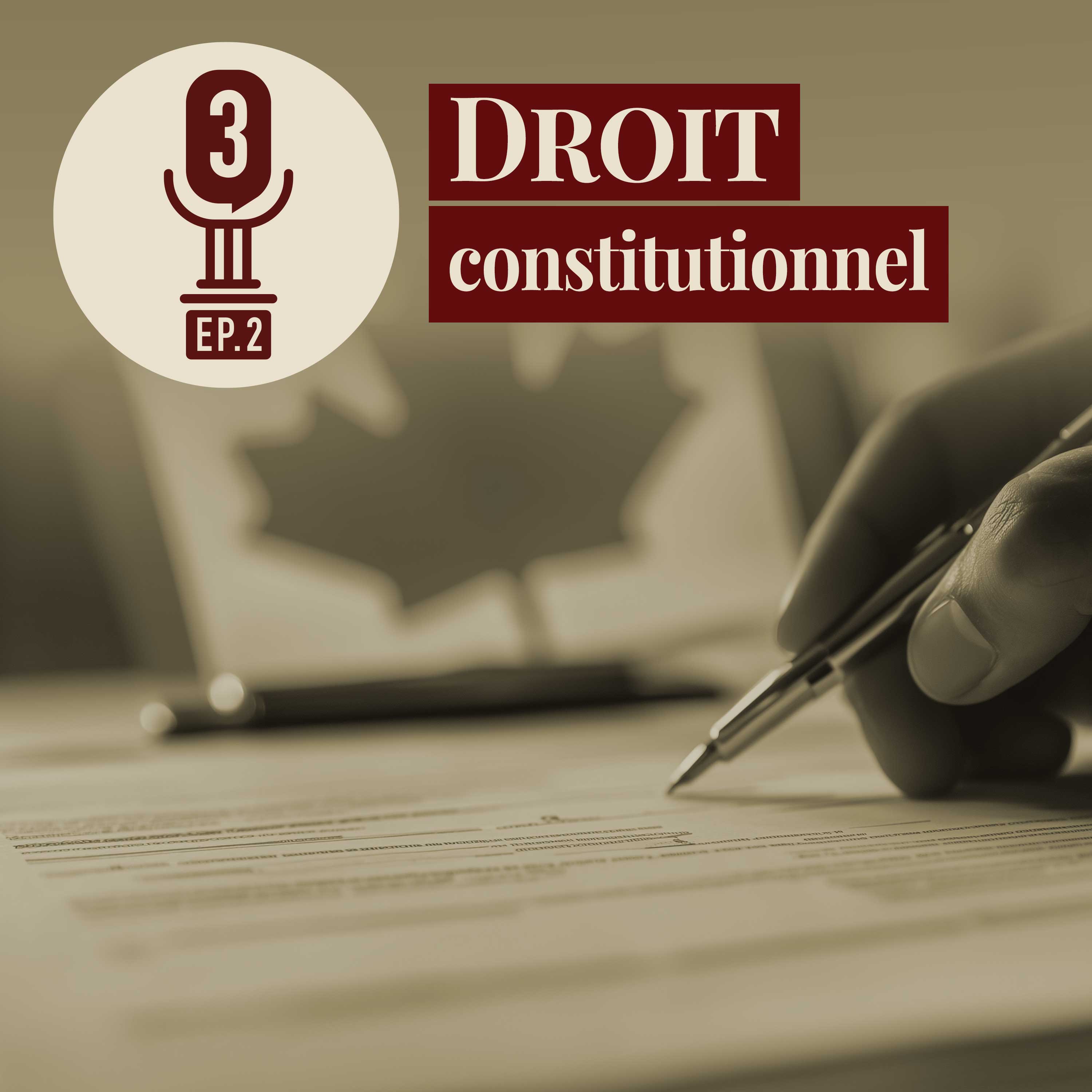 Droit constitutionnel - Québec (Procureure générale) c. 9147-0732 Québec Inc. Droit constitutionnel - Québec (Procureure générale) c. 9147-0732 Québec Inc.