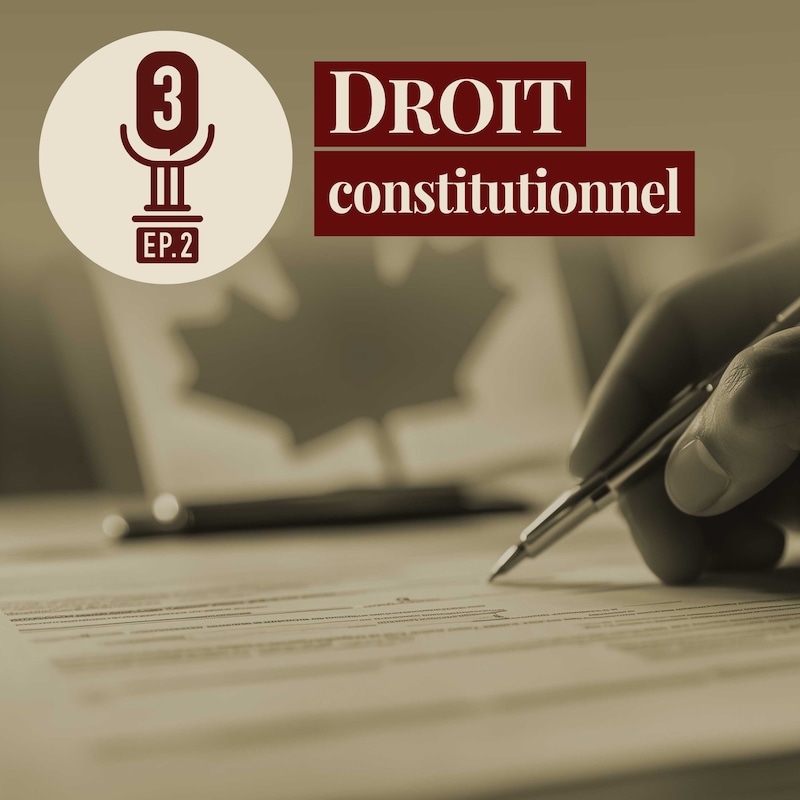 Artwork for podcast Arrêt sur le Droit