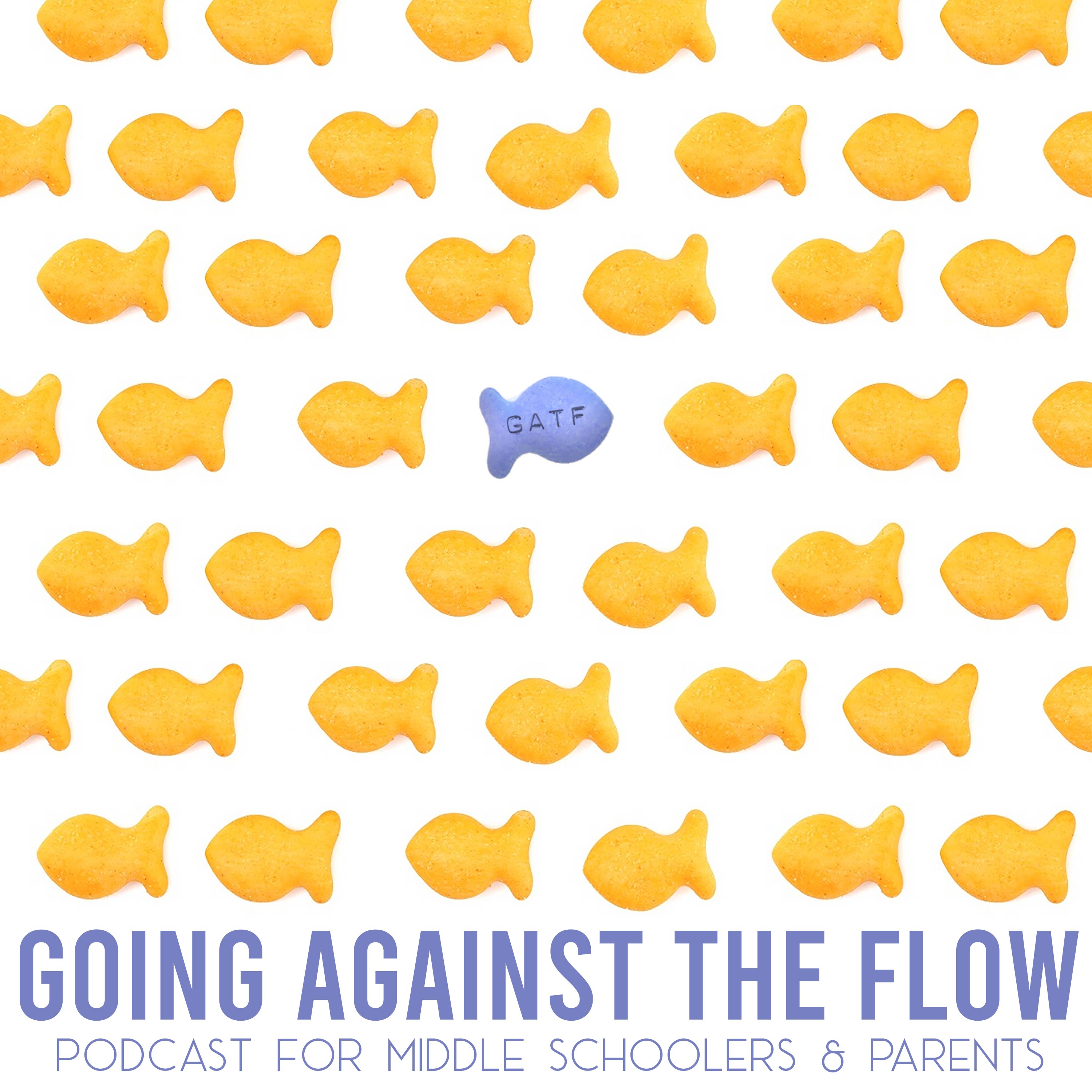 Show artwork for Going Against The Flow
