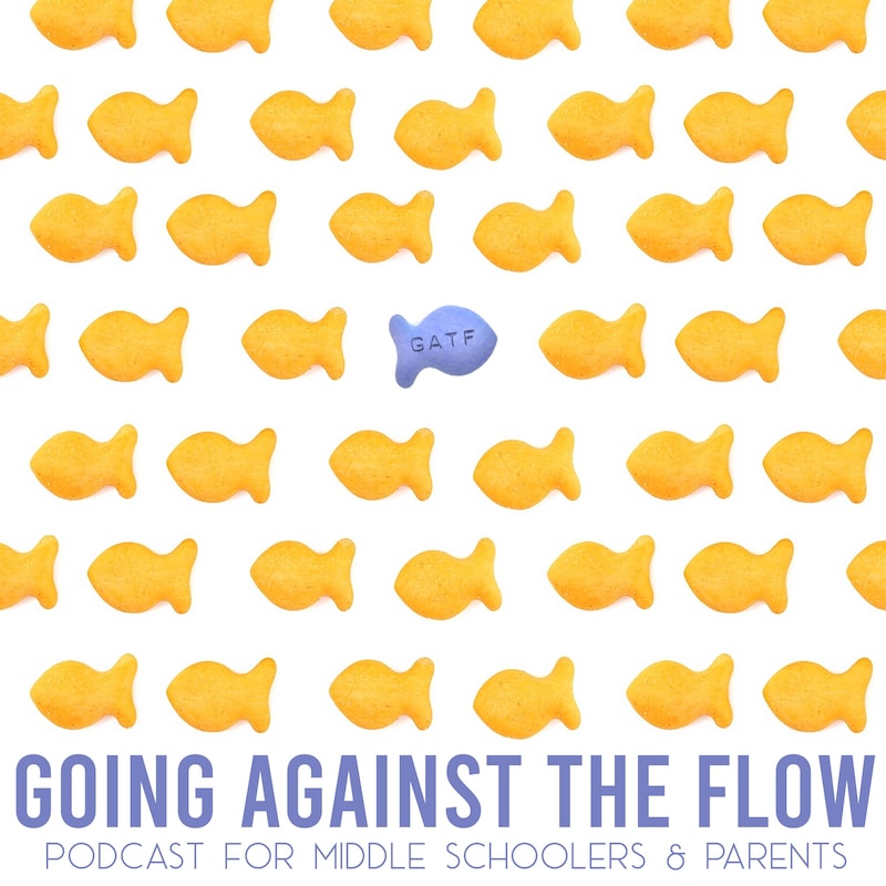 Artwork for podcast Going Against The Flow