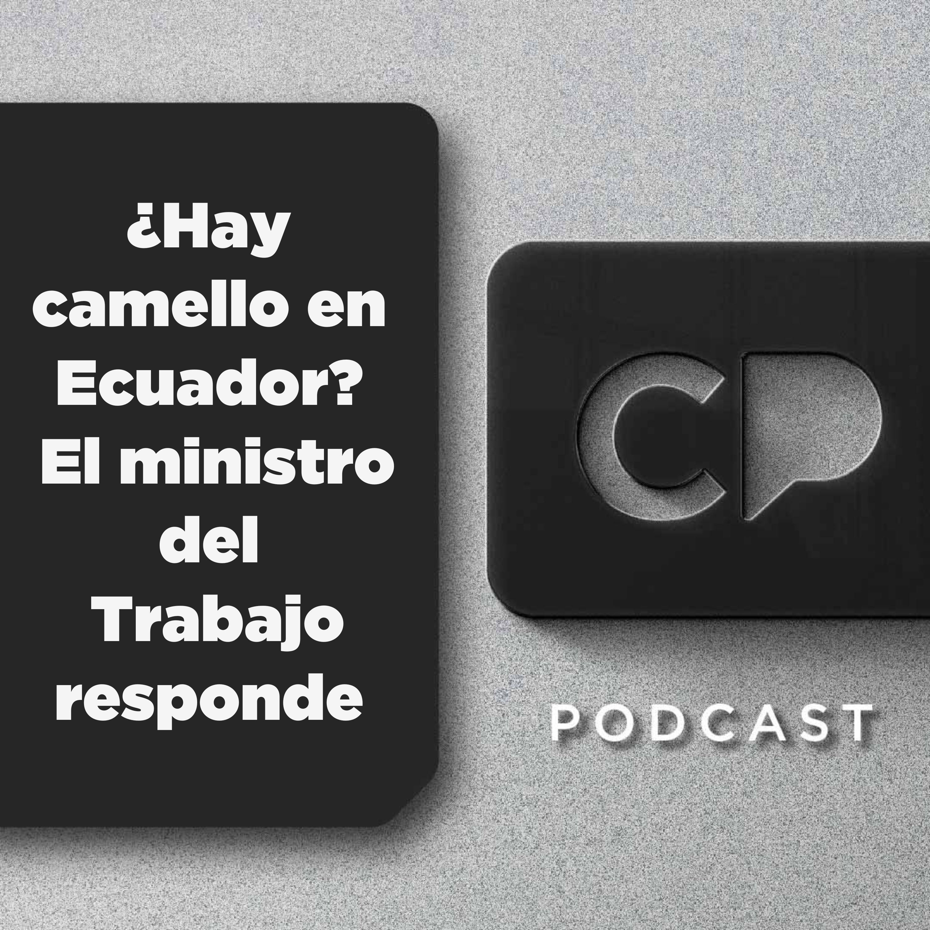 21/ENE: ¿Hay camello en Ecuador? El ministro del Trabajo responde