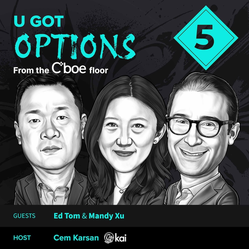 Artwork for podcast Top Traders Unplugged