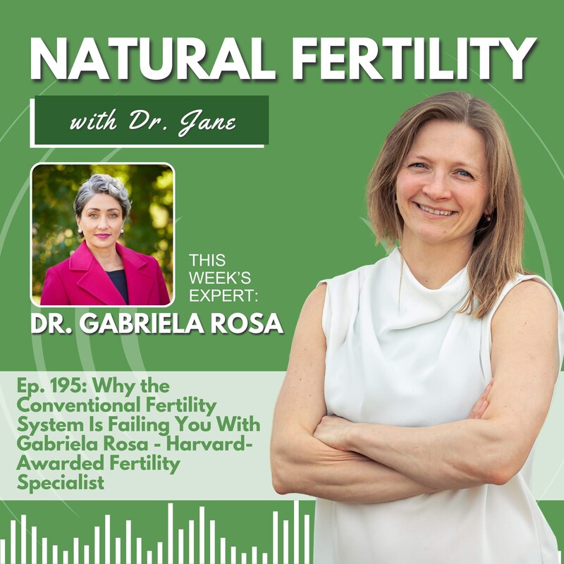 Artwork for podcast Natural Fertility with Dr. Jane