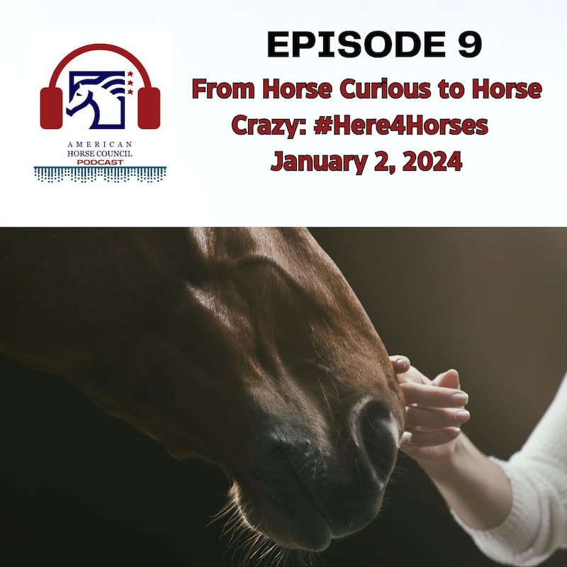 Artwork for podcast American Horse Council Podcast