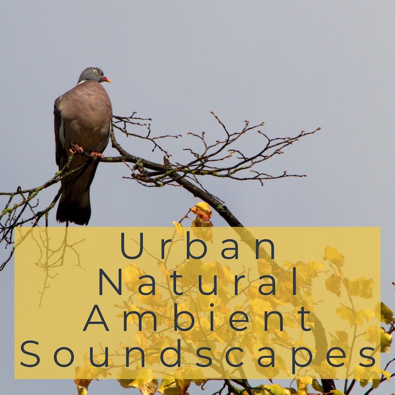 Artwork for podcast Urban Natural and Ambient Soundscapes