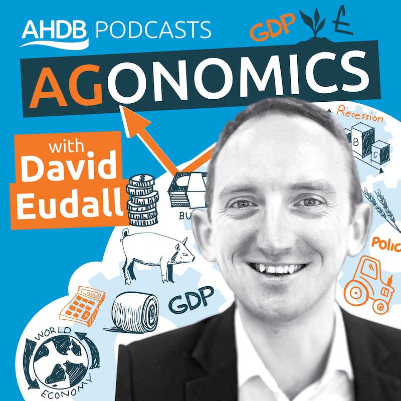 Artwork for podcast Agonomics