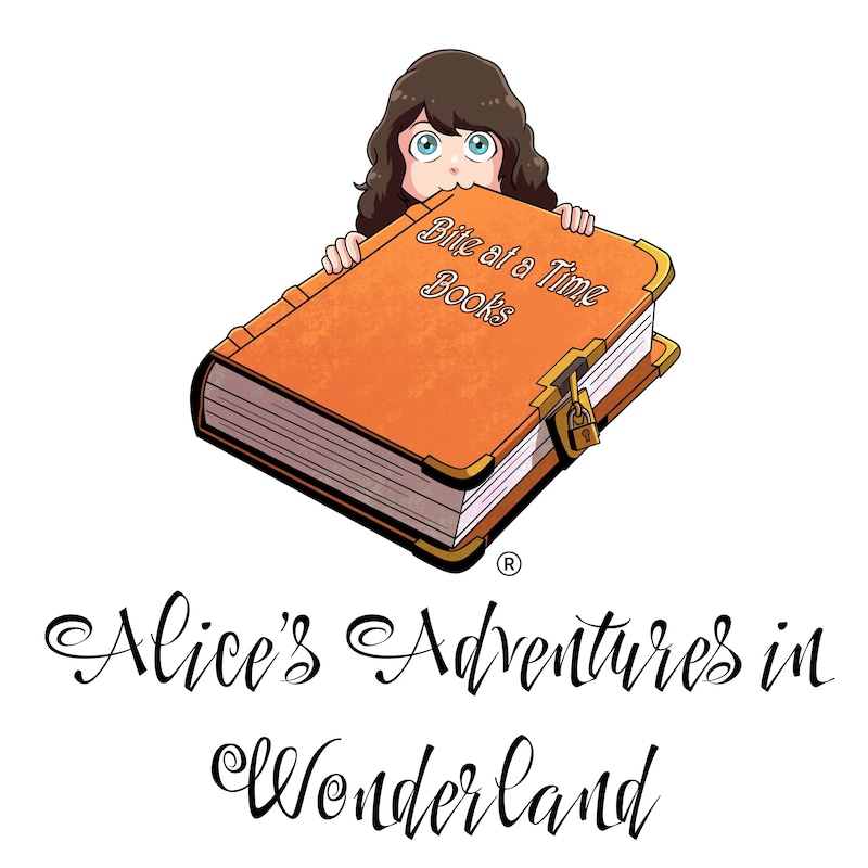 Artwork for podcast Bite at a Time Books