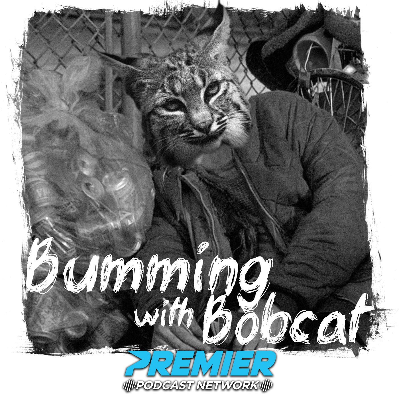 Artwork for Bumming with Bobcat