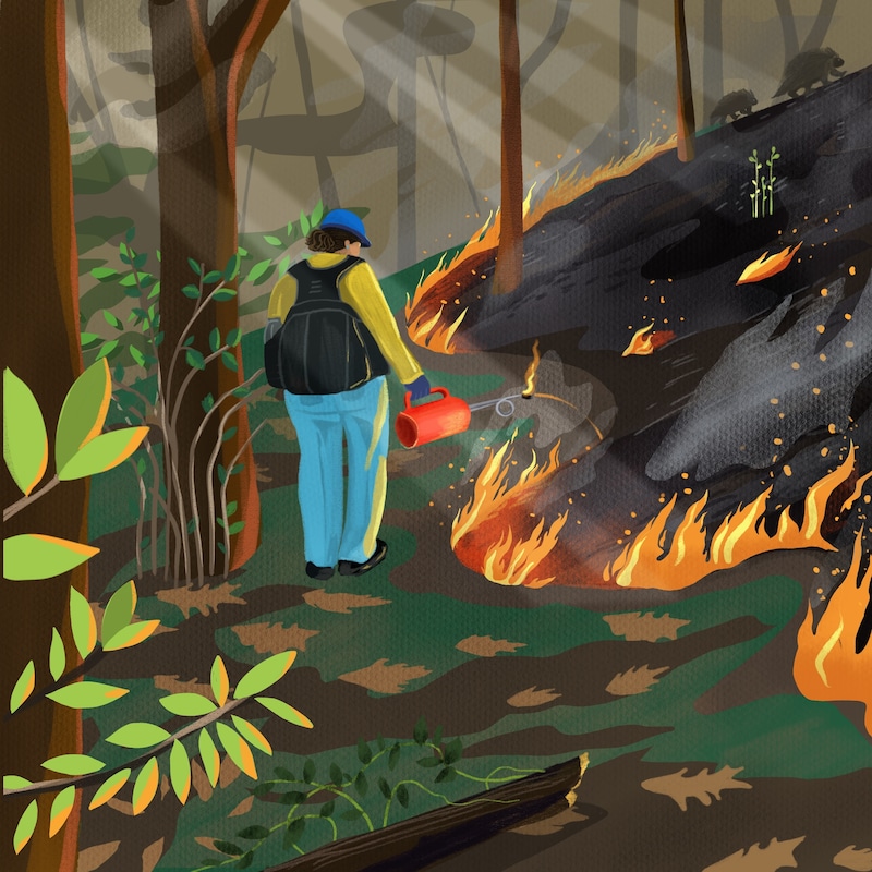 Artwork for podcast Future Ecologies