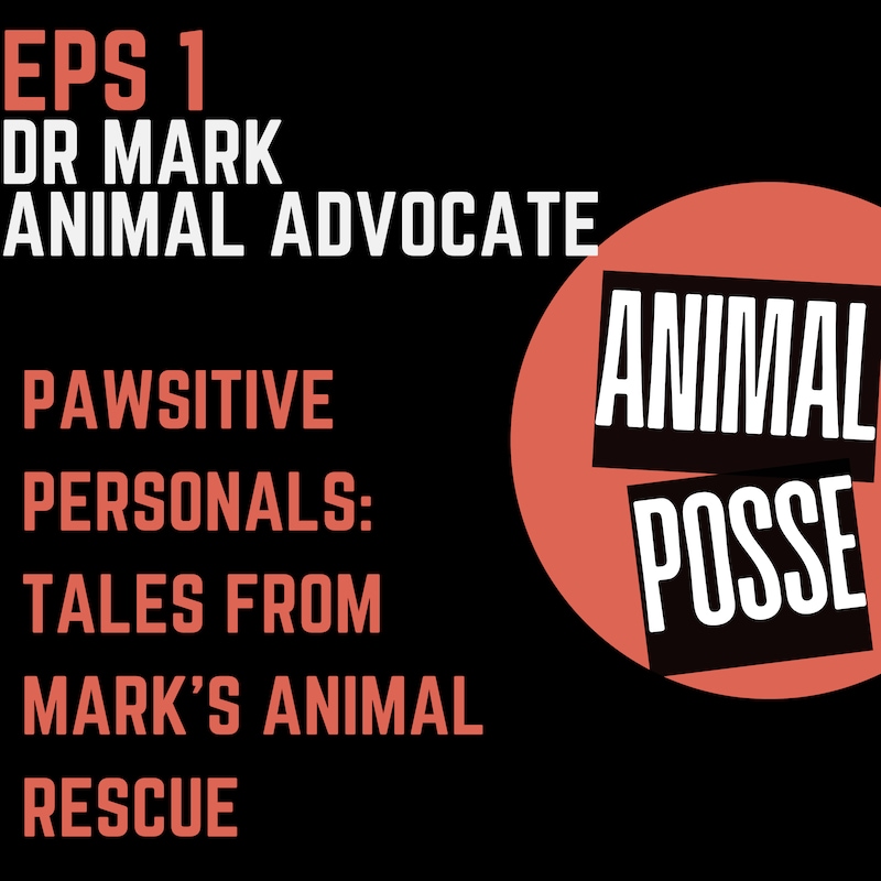 Artwork for podcast Animal Posse