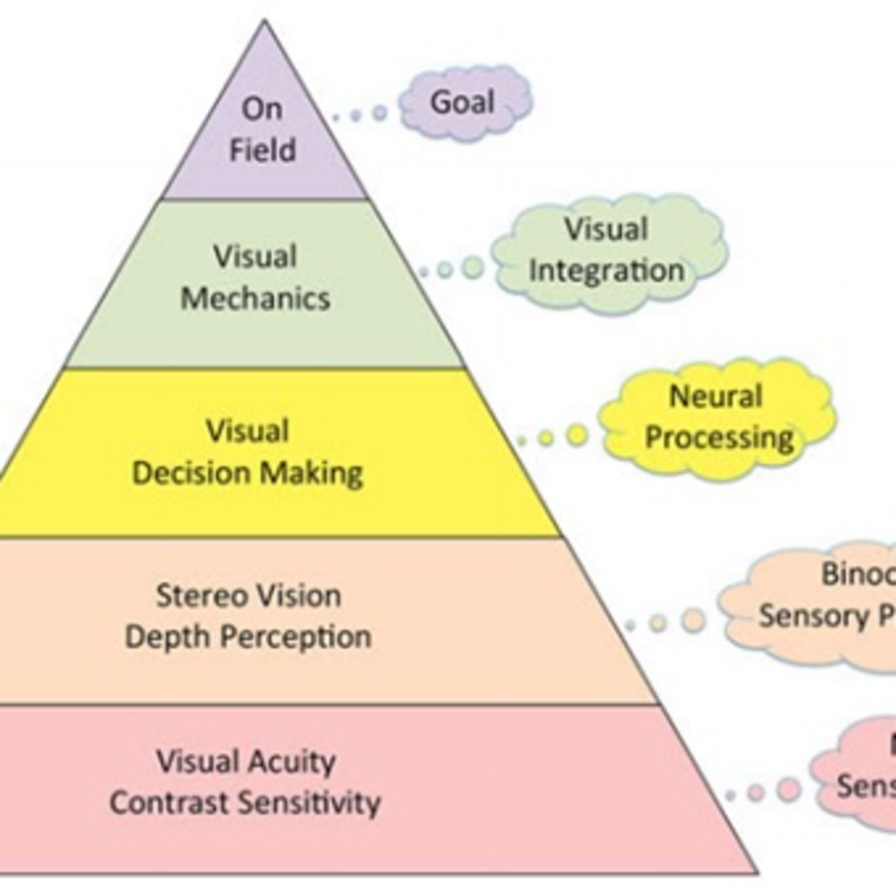 Sports Vision by Dr Laby