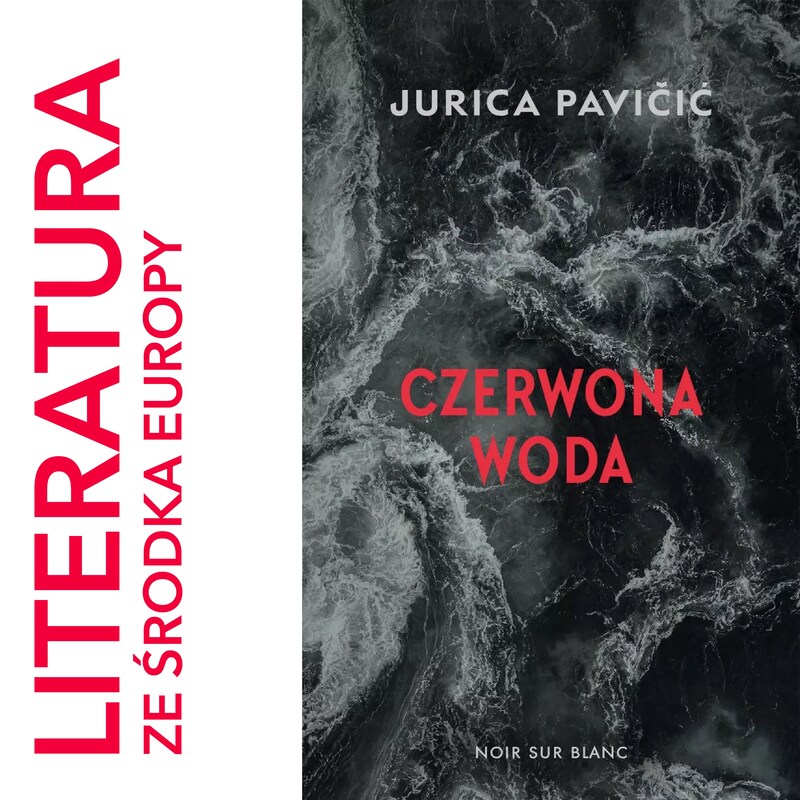 Artwork for podcast Literatura ze środka Europy