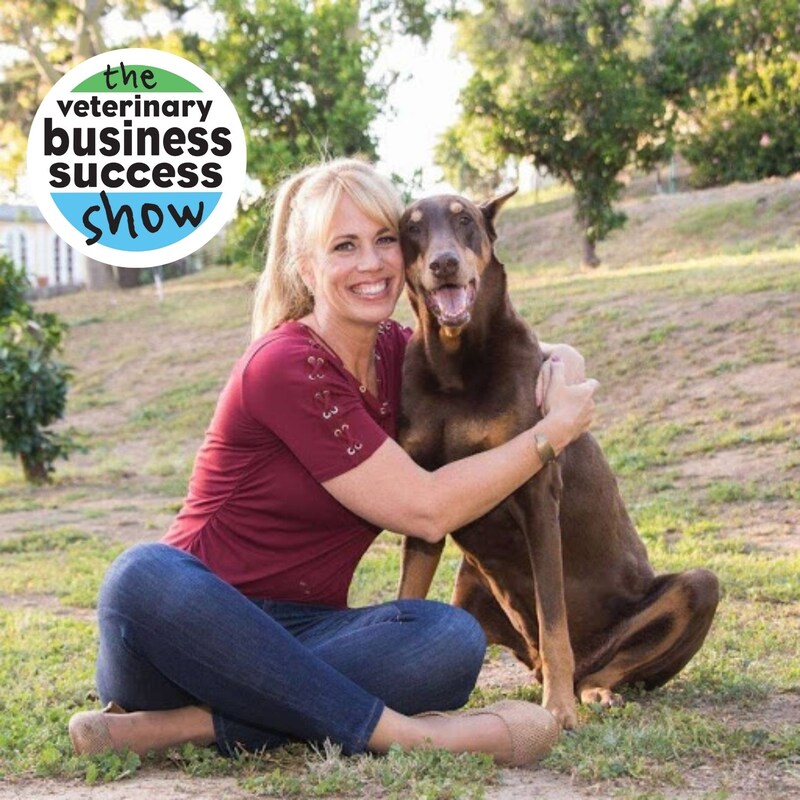 Artwork for podcast The Veterinary Leadership Success Show