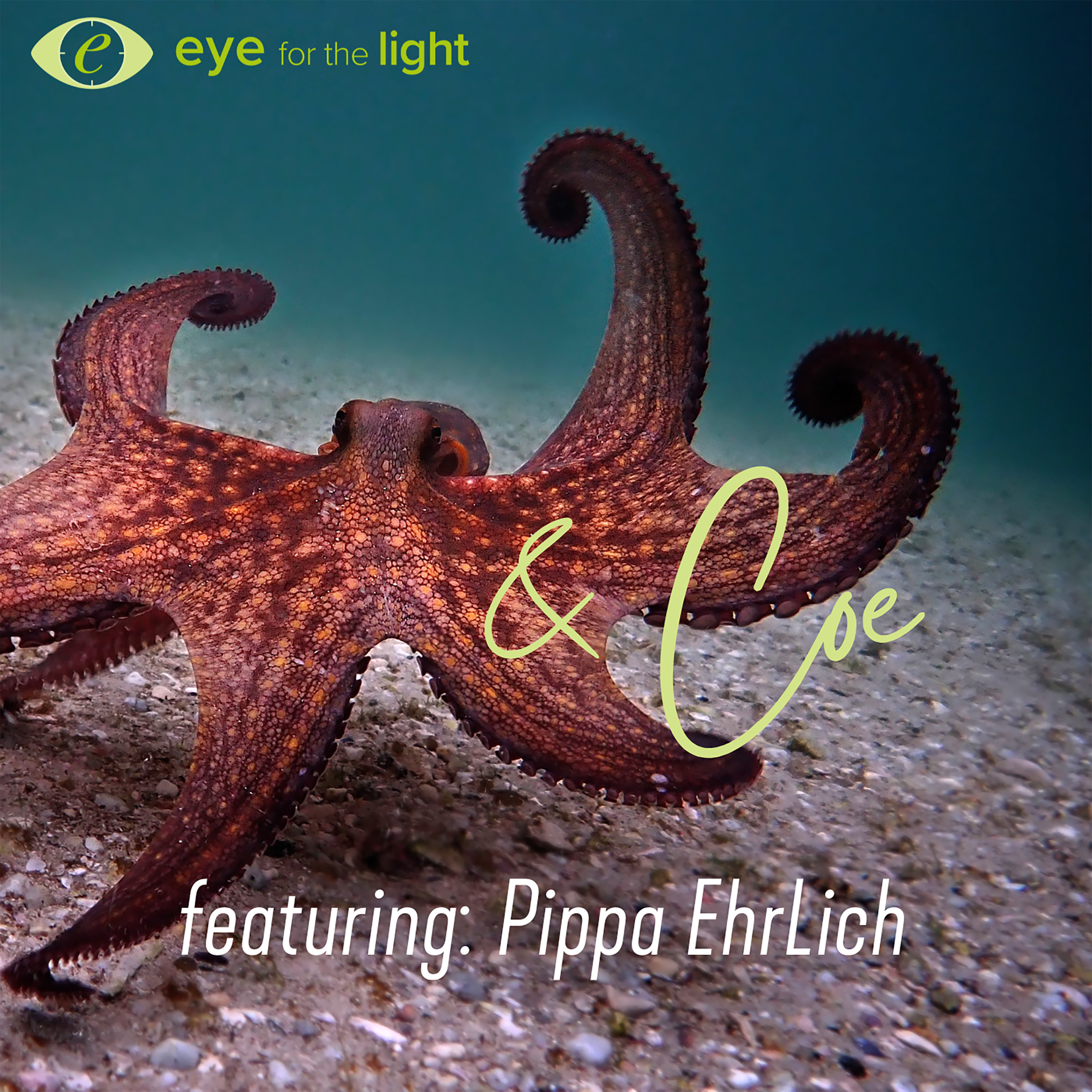 Pippa Ehrlich - My Octopus Teacher director & story teller
