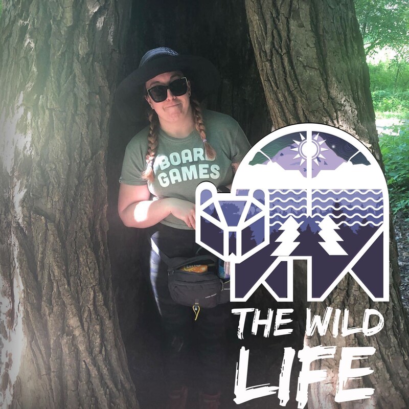 Artwork for podcast The Wild Life