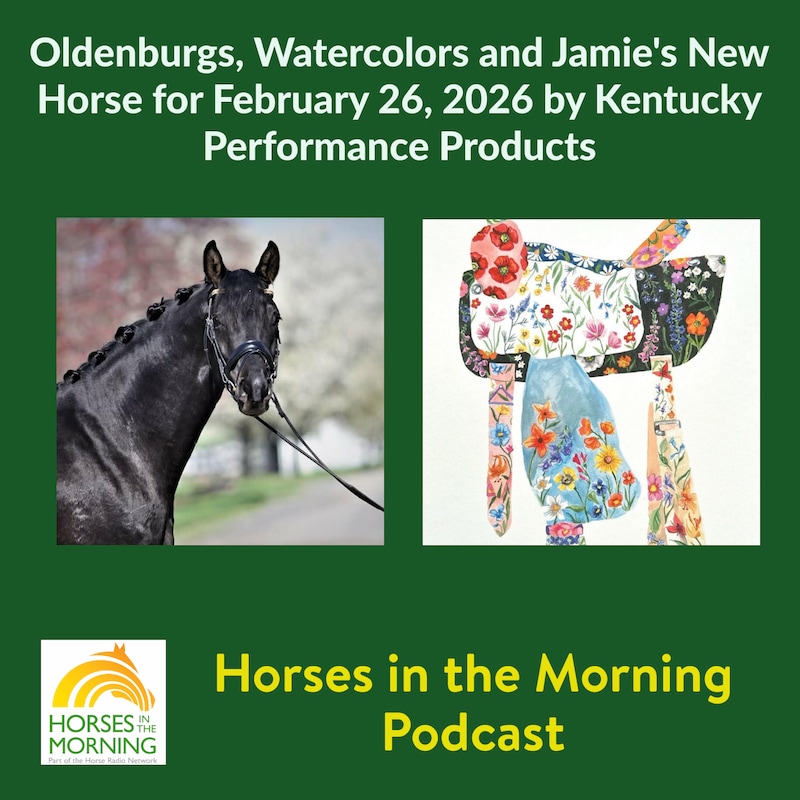 Artwork for podcast Horses in the Morning