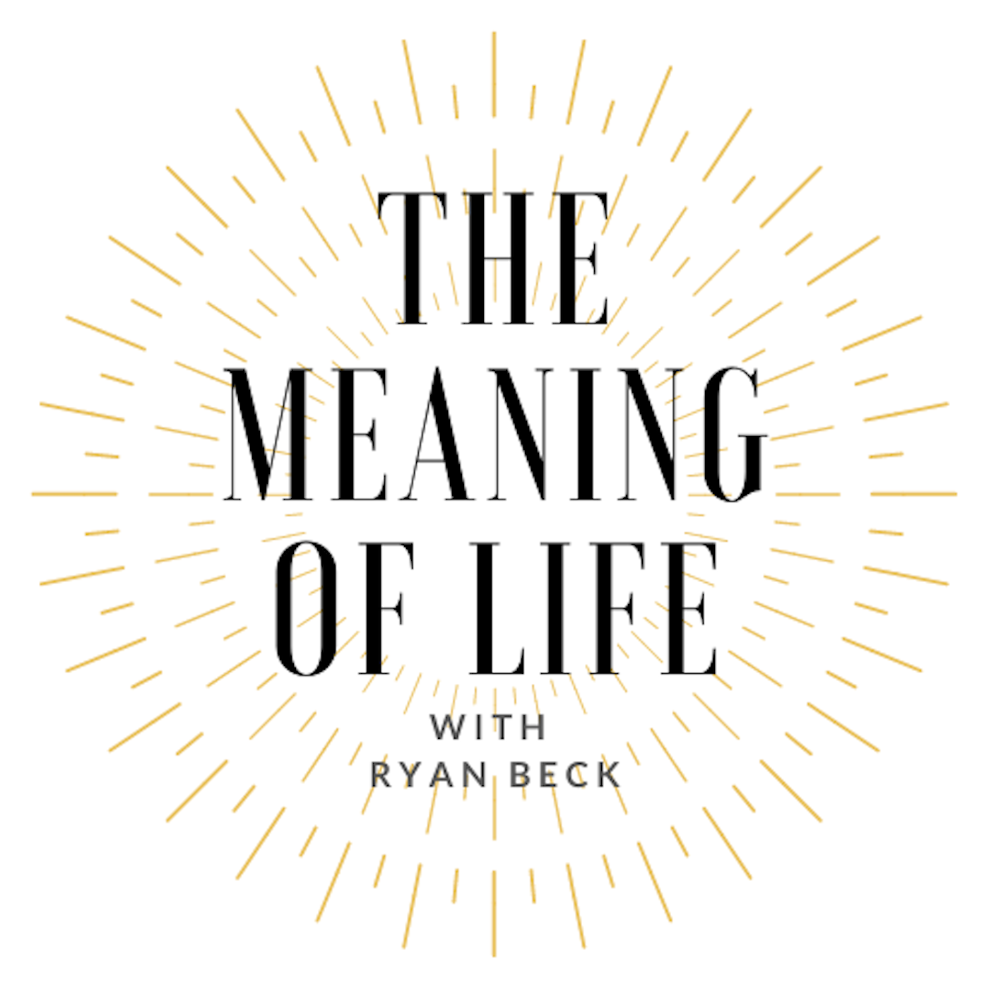 Artwork for The Meaning Of Life