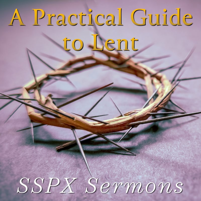 Artwork for podcast SSPX Sermons