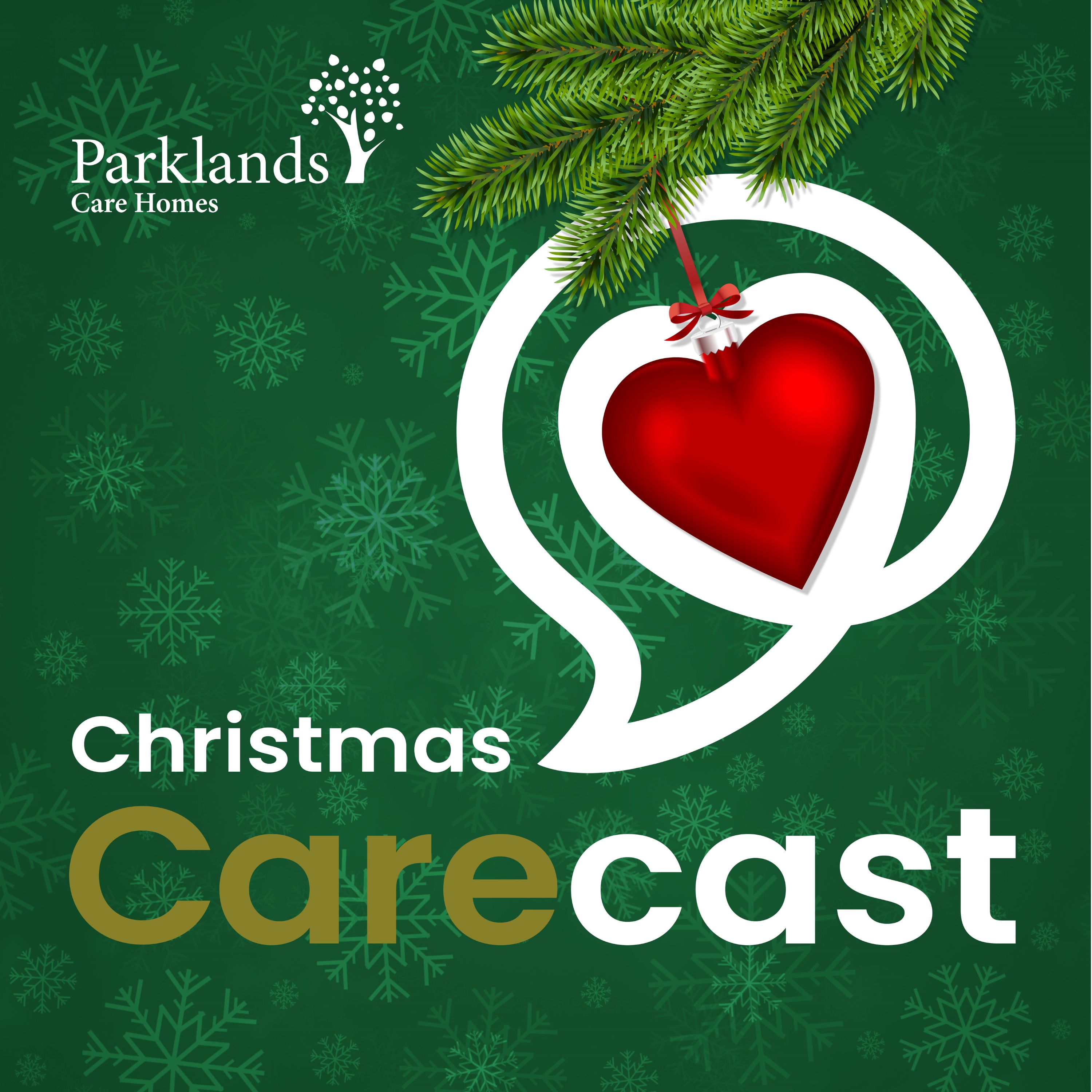 Parklands at Christmas episode artwork