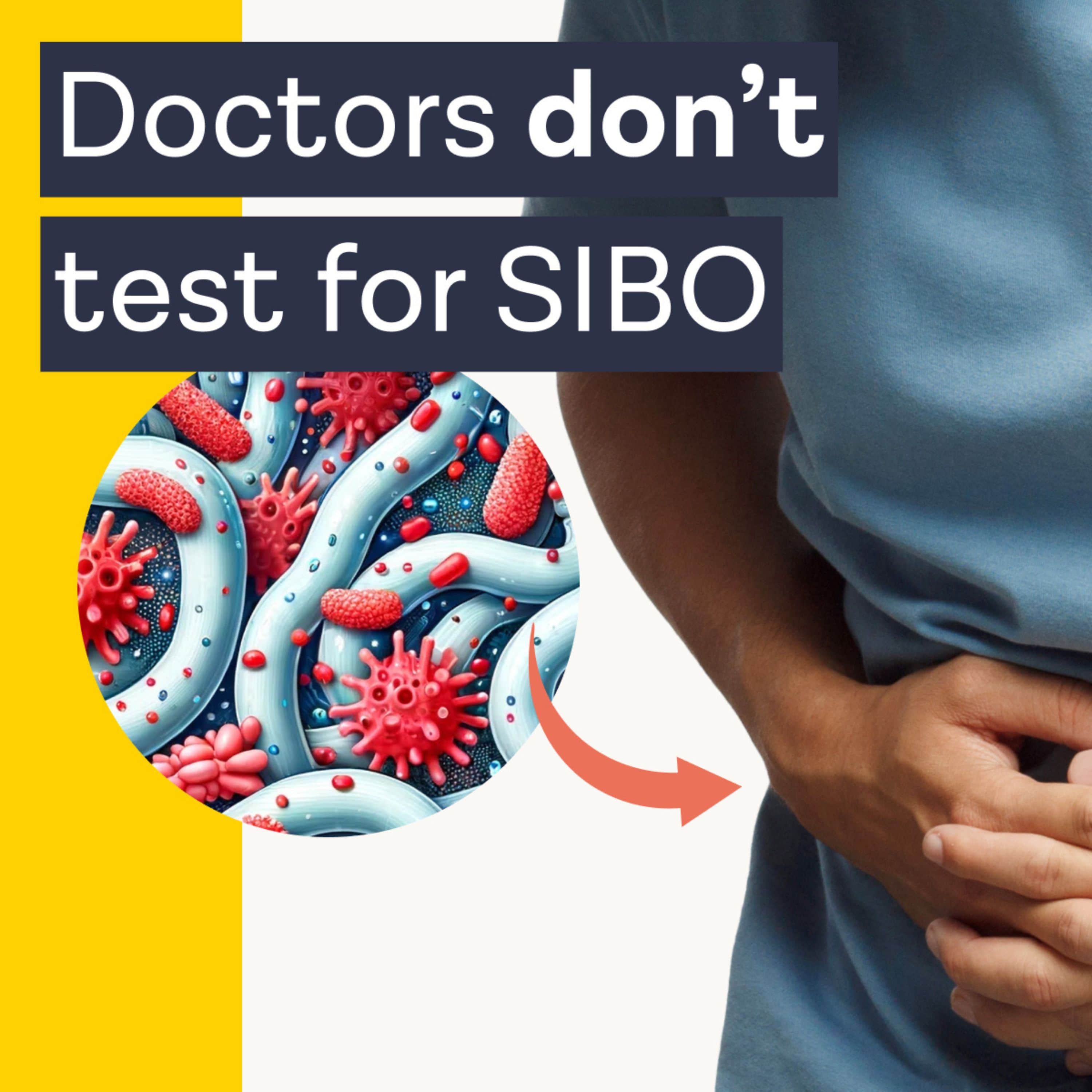 The truth about SIBO with Dr. Will Bulsiewicz