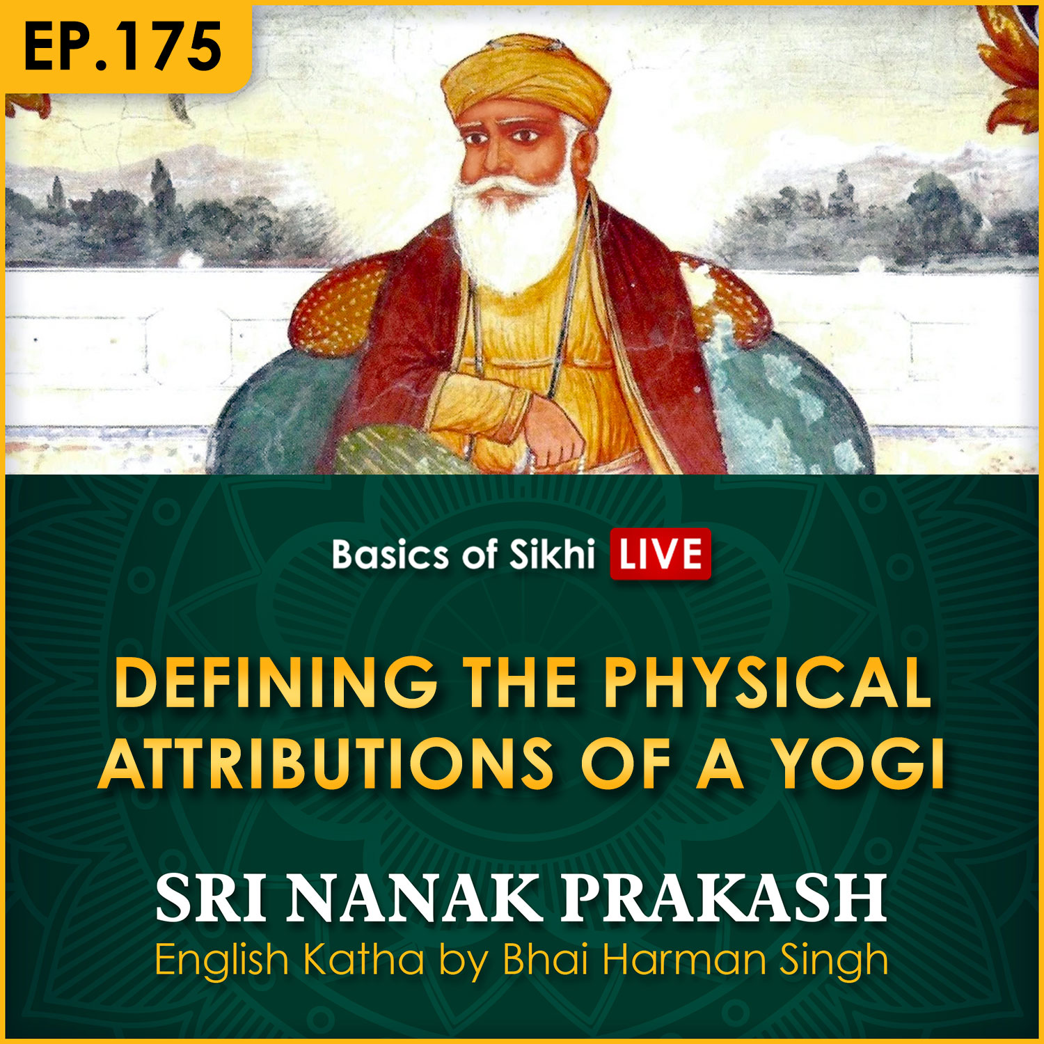 Defining the Physical Attributions of a Yogi