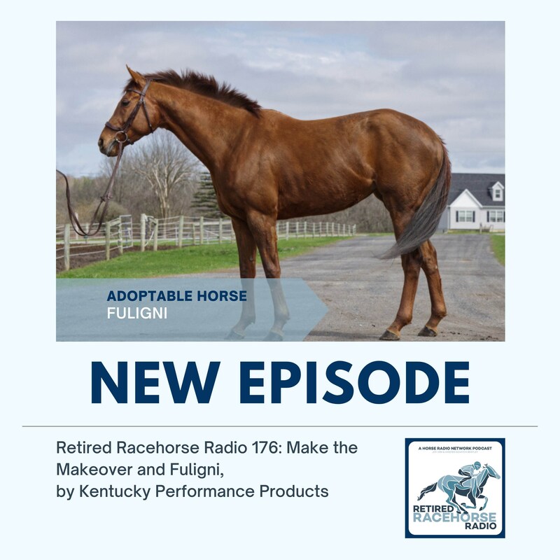 Artwork for podcast Retired Racehorse Radio