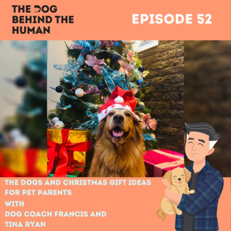 Artwork for podcast The Dog Behind The Human