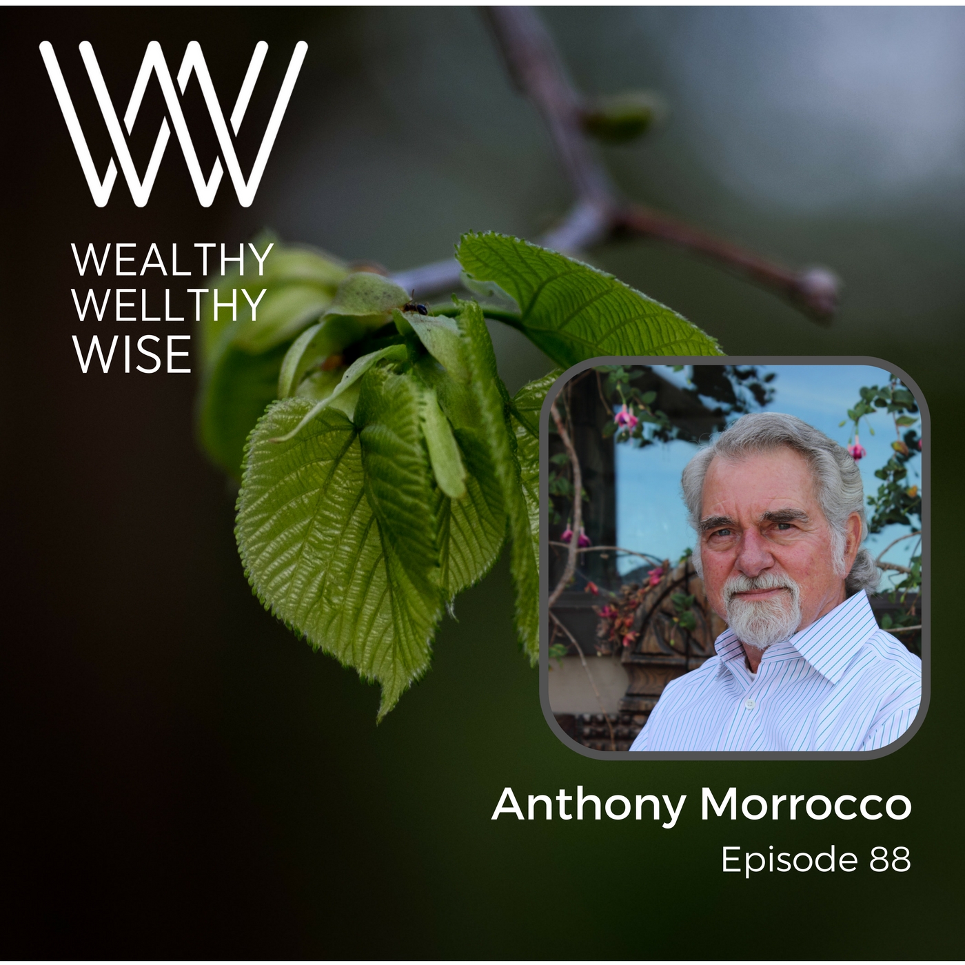 Wealthy Wellthy Podcast