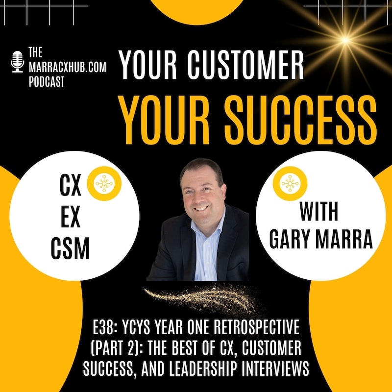 Artwork for podcast Your Customer, Your Success