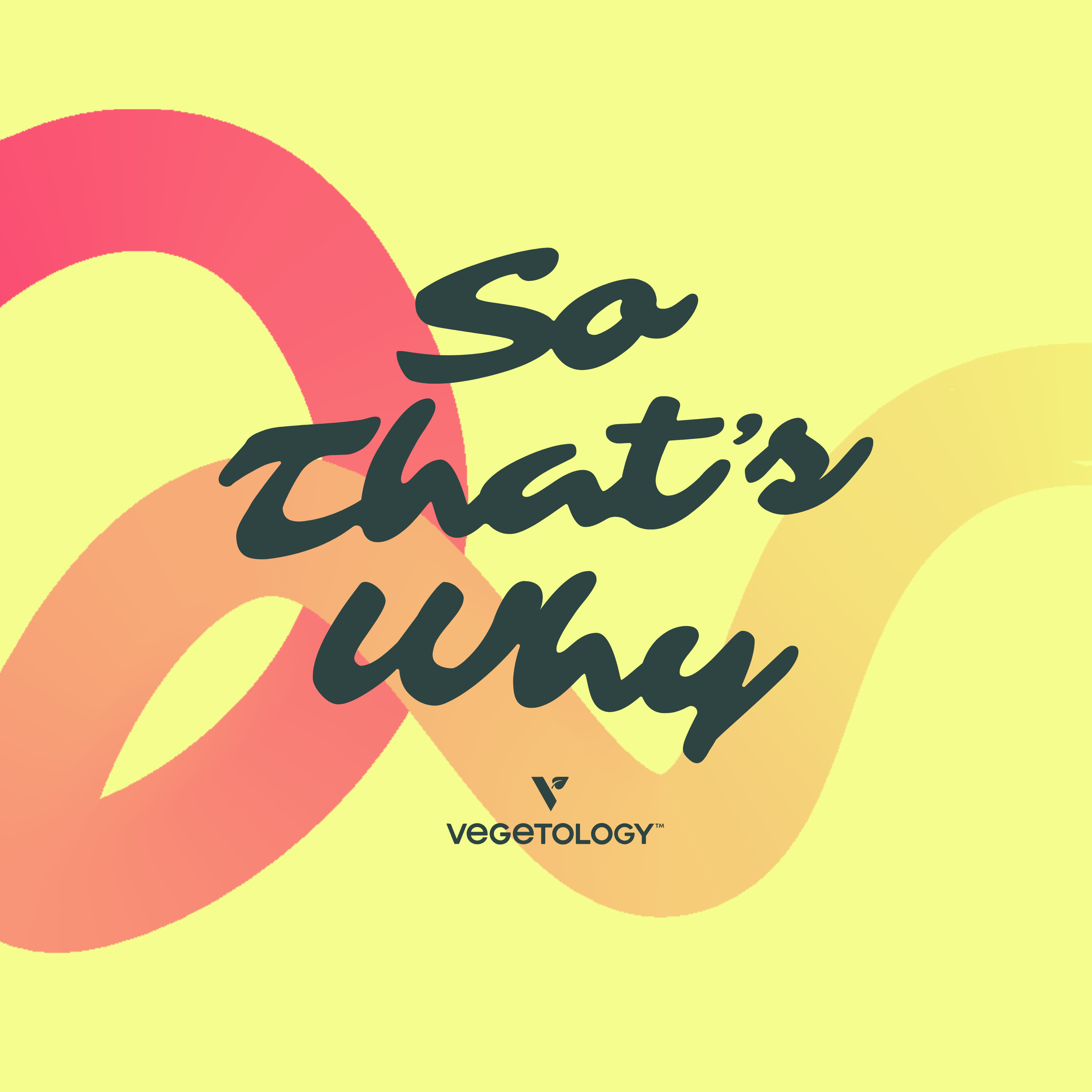 Artwork for So That's Why