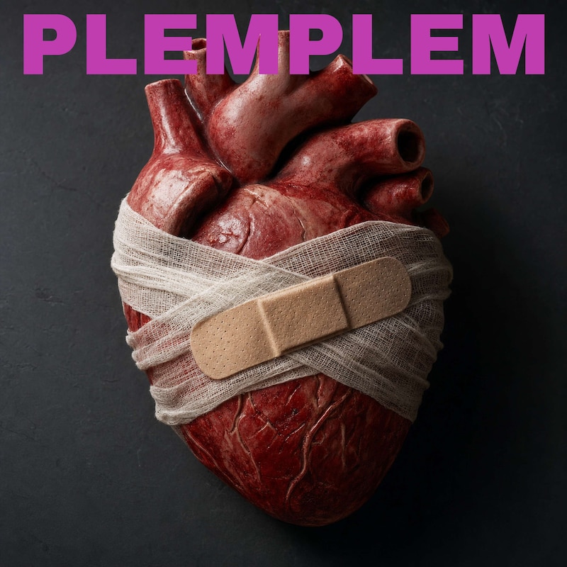 Artwork for podcast PLEMPLEM