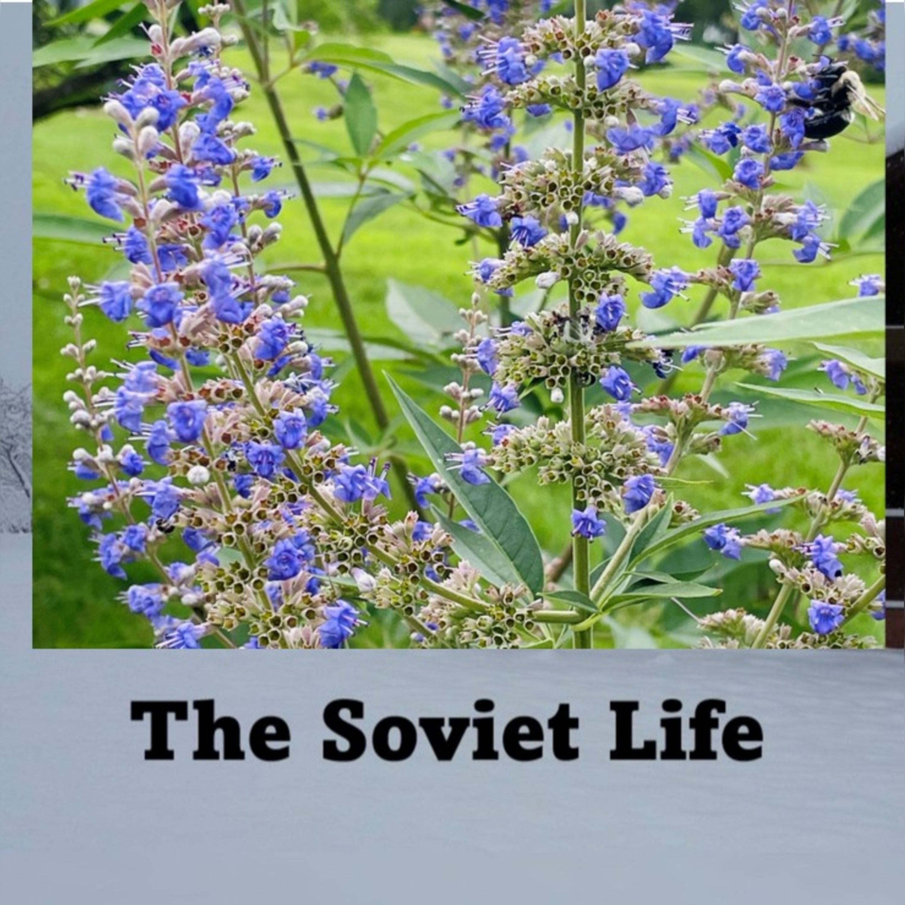 22: Summer Behind the Iron Curtain: What We Actually Did