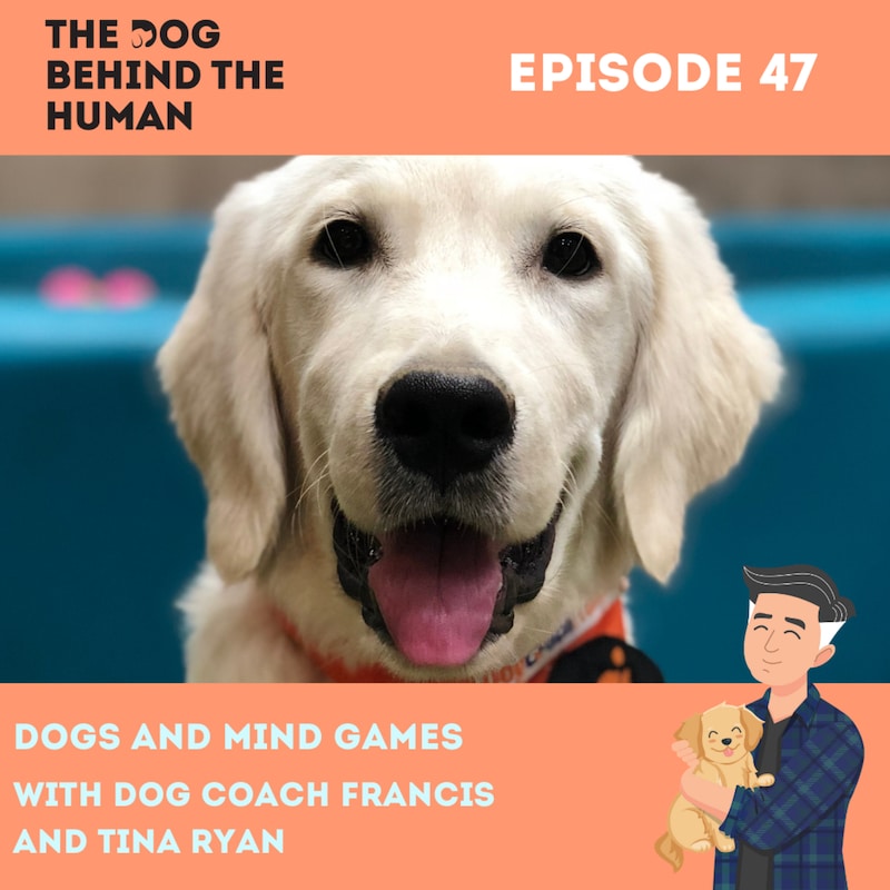 Artwork for podcast The Dog Behind The Human