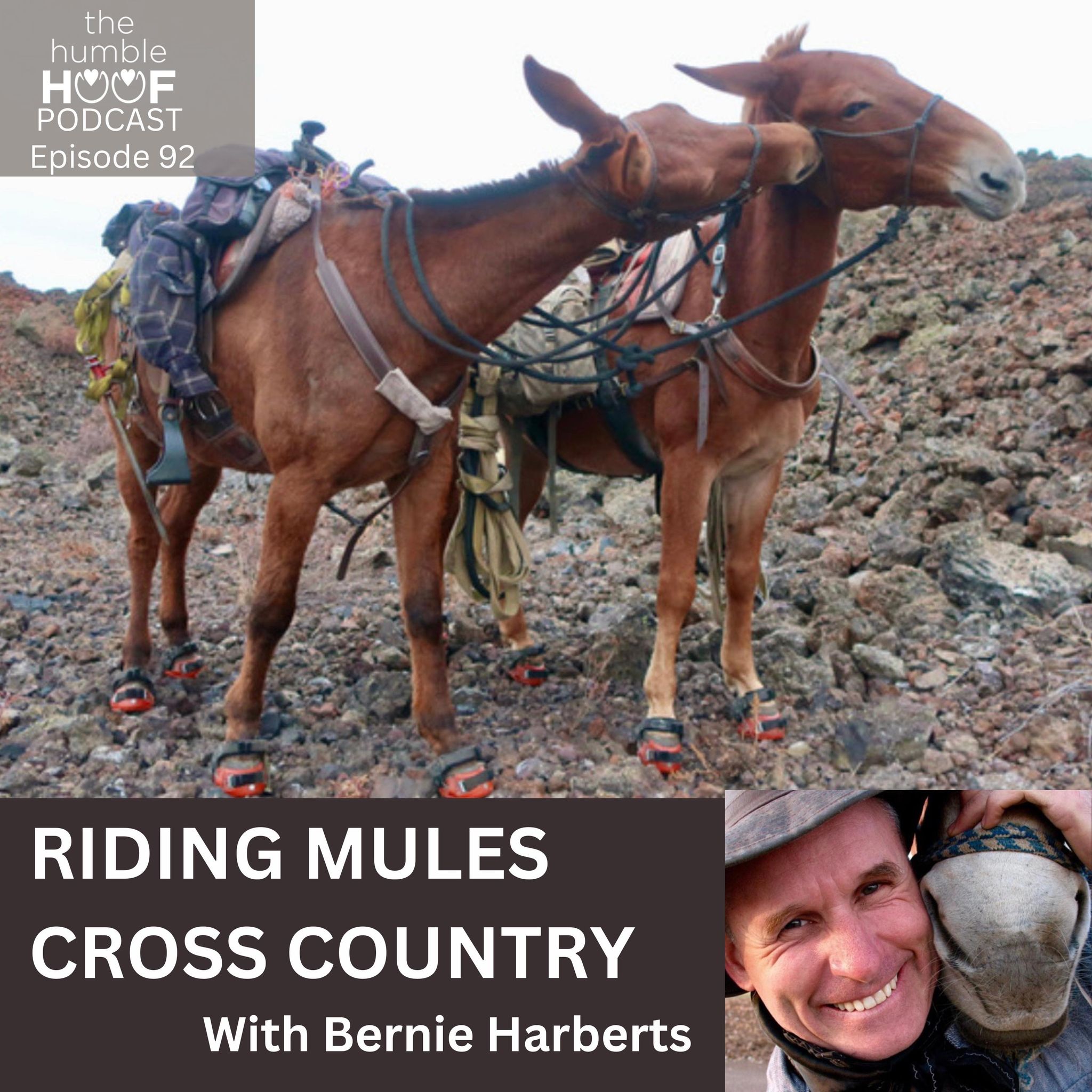 Riding Mules Cross Country