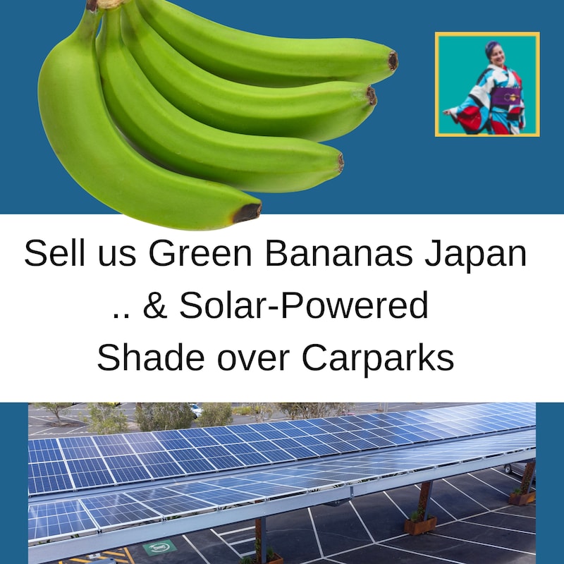 Artwork for podcast Seek Sustainable Japan