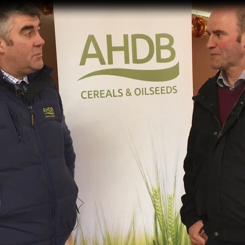 Artwork for podcast AHDB Food & Farming